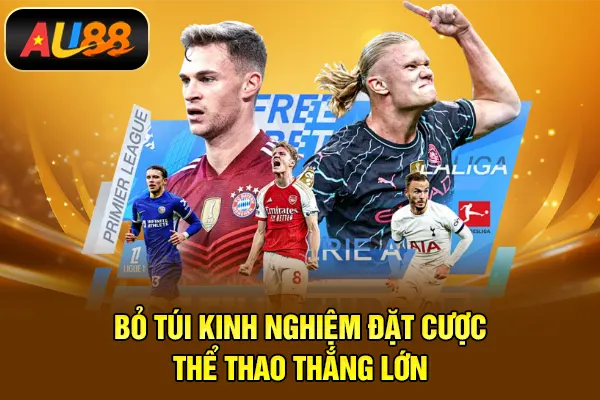 Bỏ túi kinh nghiệm đặt cược thể thao thắng lớn