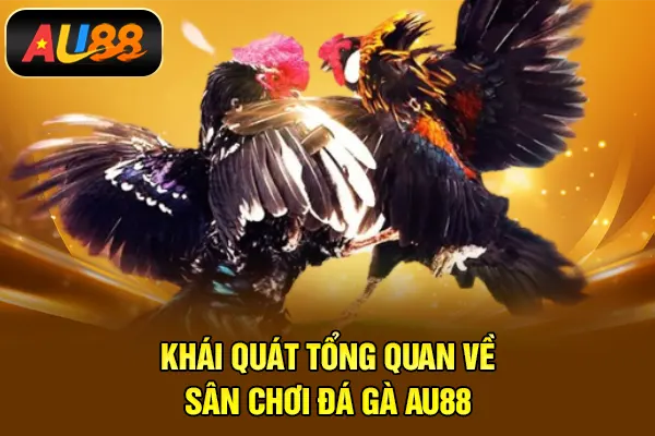 Khái quát tổng quan về sân chơi đá gà AU88