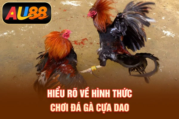Hiểu rõ về hình thức chơi đá gà cựa dao